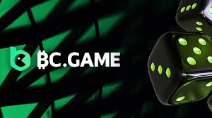 Understanding BC.Game General Terms and Conditions -638377011
